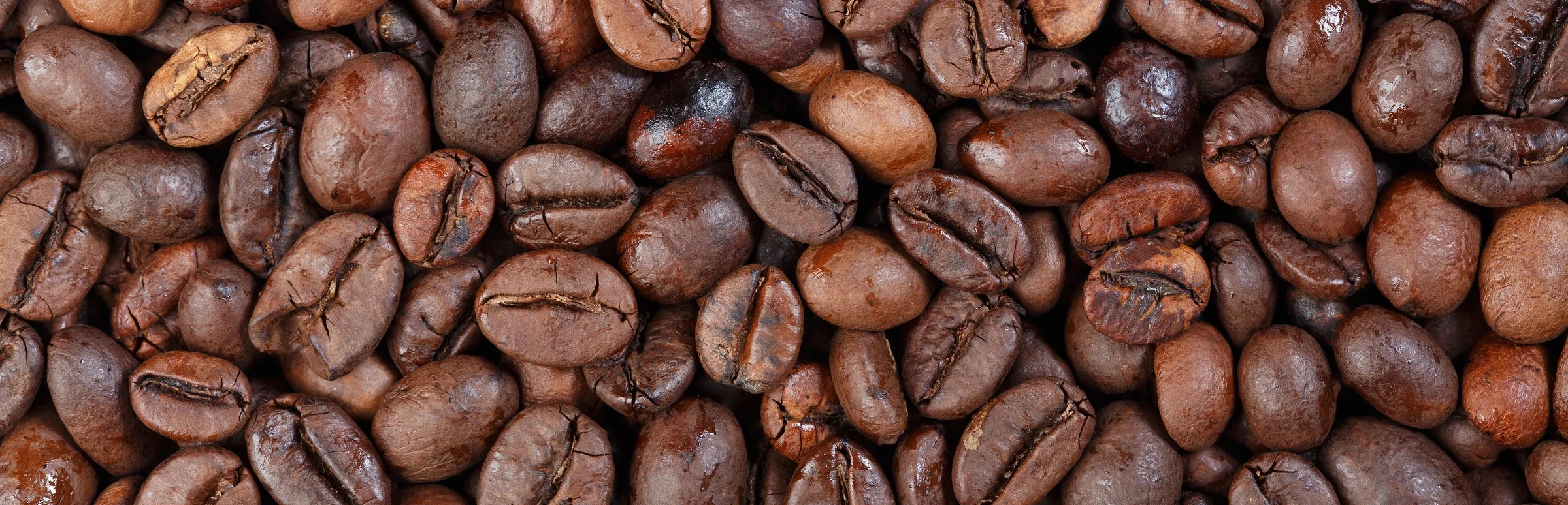 Serve the Perfect Cup