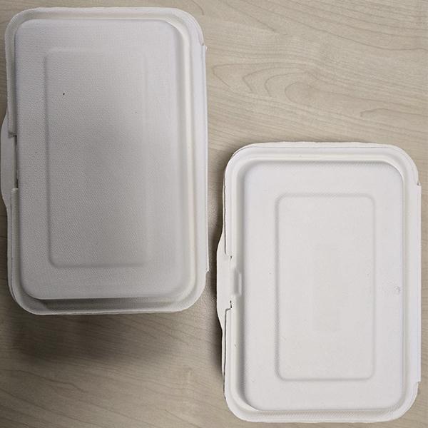 FP6 CLAMSHELL BAGASSE 6"X6" BOXES 4x125