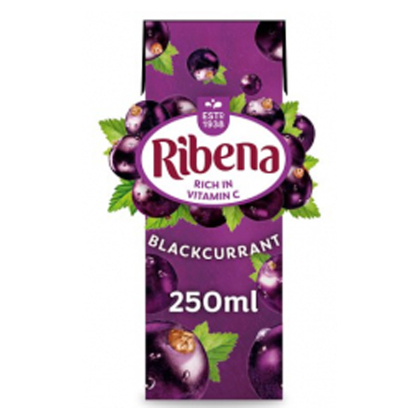 RIBENA RTD BLACKCURRANT  24x250ml