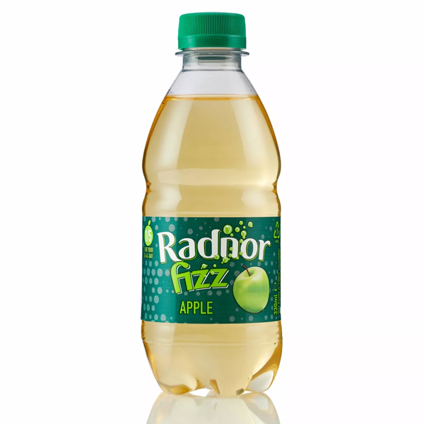 RADNOR FIZZ APPLE BOTTLES 24x330ml