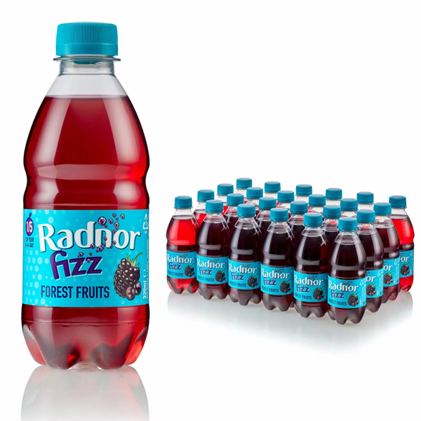 RADNOR FIZZ FOREST FRUITS BOTTLES 24x330ml