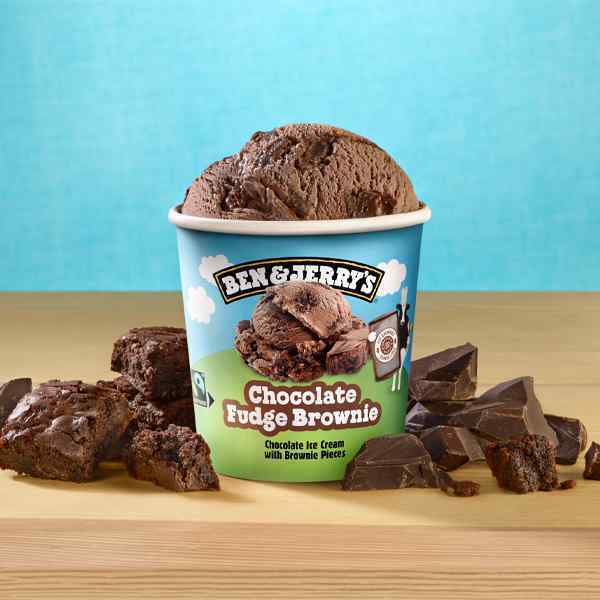 BEN & JERRY'S CHOCOLATE FUDGE BROWNIE 8x465ml