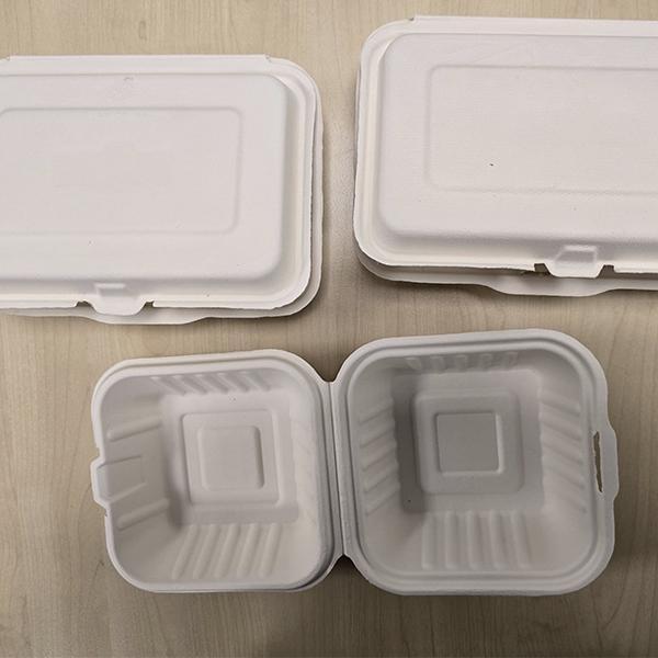 FP6 CLAMSHELL BAGASSE 6"X6" BOXES 4x125