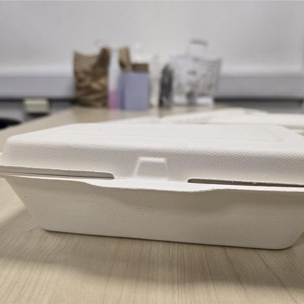 FP6 CLAMSHELL BAGASSE 6"X6" BOXES 4x125