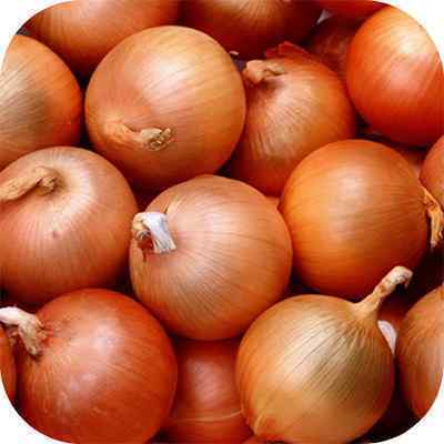 FRESH ENGLISH ONIONS 24 KG