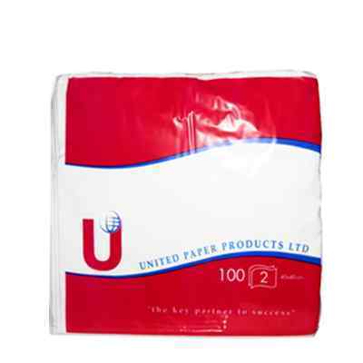 2 PLY WIPE UP SERVIETTES 1/4  (40cm)  1x2000