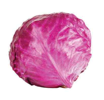 FRESH SMALL RED  6's CABBAGE 10kg