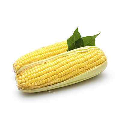 IQF CORN ON THE COB 24x2 - 9 Kg