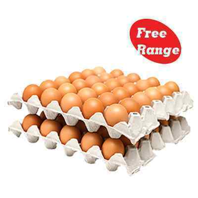 FREE RANGE ENGLISH  MEDIUM EGGS 60's