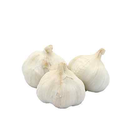 FRESH GARLIC ( LOOSE ) 7.5kg