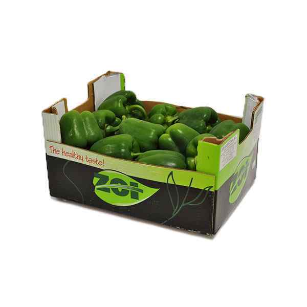 FRESH GREEN CAPSICUMS GG ( PEPPERS ) 5kg NOM 221-261g 20-23 pc