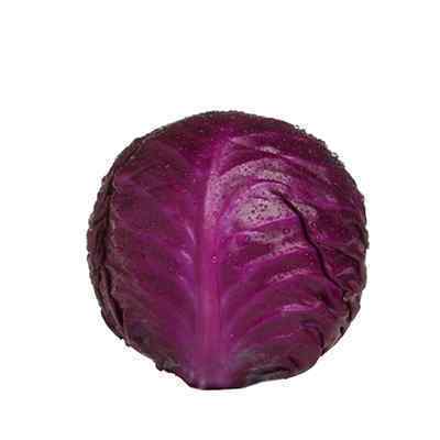LARGE FRESH RED CABBAGE 9/10  25kg