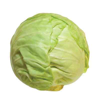 FRESH SMALL WHITE 6's CABBAGE 10kg