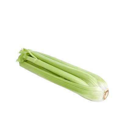 FRESH SHORT CELERY 14 PIECES