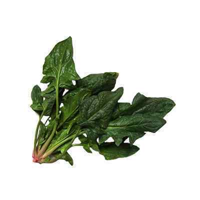 FRESH SPINACH ENGLISH BUNCH 20x200gm