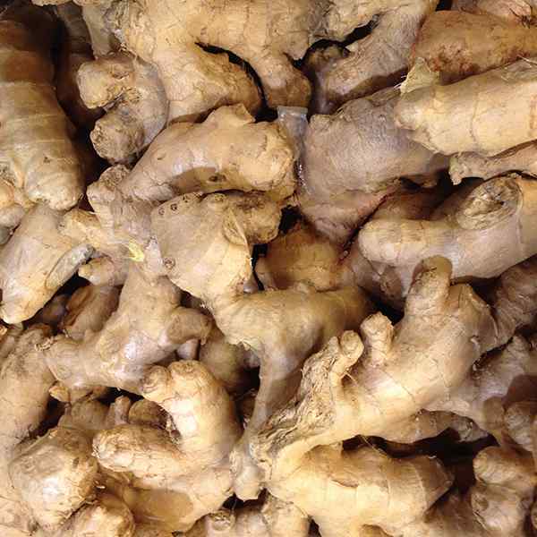 FRESH GINGER 10kg